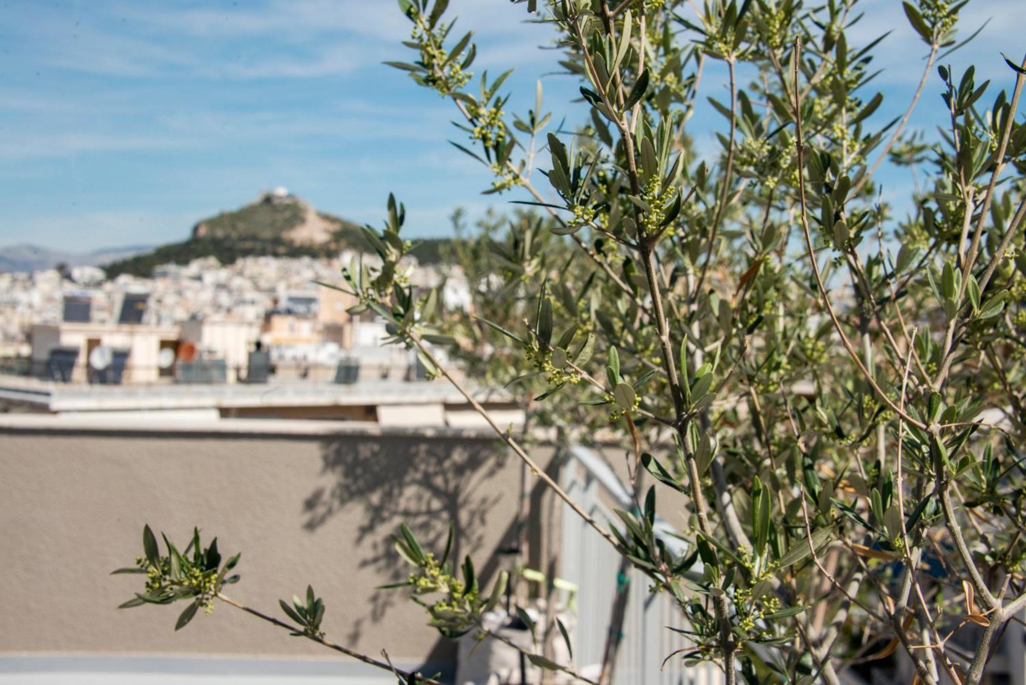 Ferienwohnung The Athenian Oasis Exterior foto